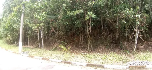 Lote/Terreno à venda, 1218m² no Caraguatá, Mairiporã