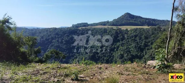 Fazenda/Sítio com 1 Quarto à venda, 5000m² no Dos Boêmios, Nova Petrópolis