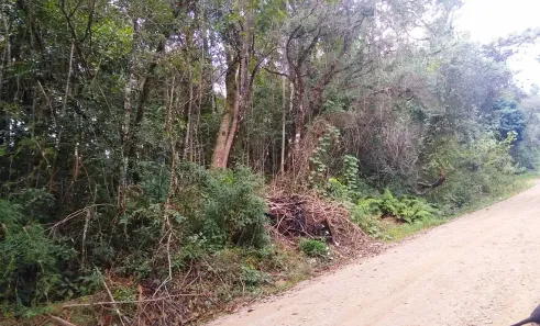 Lote/Terreno à venda, 2645m² no Monte Verde, Camanducaia