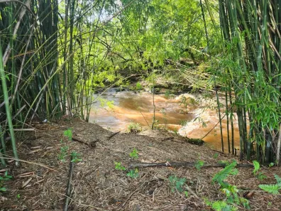 Fazenda/Sítio com 1 Quarto à venda, 5000m² no , Santo Antônio da Alegria