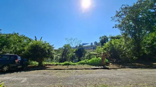 Lote/Terreno à venda, 1500m² no Portal Roselândia, Cotia