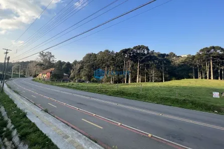 Lote/Terreno à venda, 8116m² no Samuara, Caxias do Sul