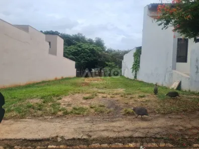 Lote/Terreno à venda, 308m² no Vila Aviação, Bauru
