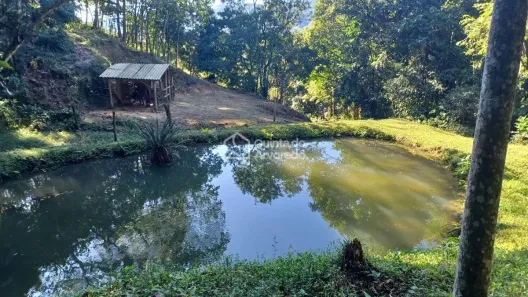 Fazenda/Sítio com 4 Quartos à venda, 220m² no Camboa, Governador Celso Ramos