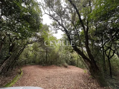 Lote/Terreno à venda, 2700m² no , Brumadinho