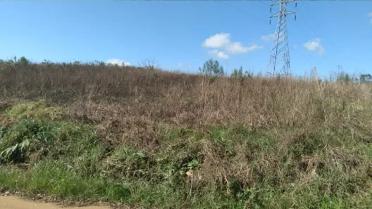 Fazenda/Sítio à venda, 6590m² no Colônia Murici, São José dos Pinhais