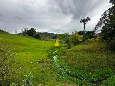 Lote/Terreno à venda, 10800m² no Mulde, Indaial