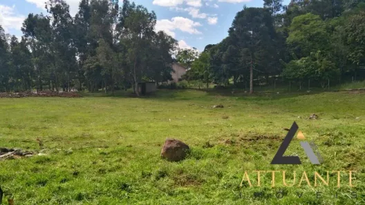 Lote/Terreno à venda, 4755m² no De Zorzi, Caxias do Sul