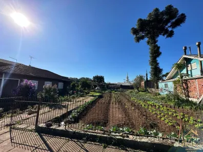 Lote/Terreno à venda, 1m² no Nova Petrópolis, Nova Petrópolis