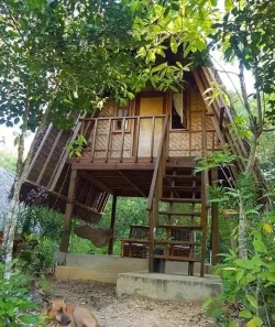 Lote/Terreno à venda, 500m² no Puris, Ibiúna