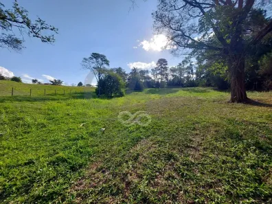 Lote/Terreno à venda, 5350m² no Condomínio Fazenda Duas Marias, Holambra