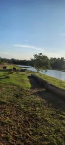 Fazenda/Sítio à venda, 960000m² no , Cachoeira Alta