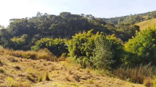 Lote/Terreno à venda, 2000m² no , Sapucaí-Mirim