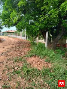 Fazenda/Sítio com 1 Quarto à venda, 60m² no Área Rural de Limeira, Limeira