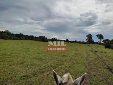 Fazenda/Sítio à venda, 500m² no , Figueirópolis
