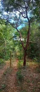 Lote/Terreno à venda, 20000m² no Centro, Pirenópolis