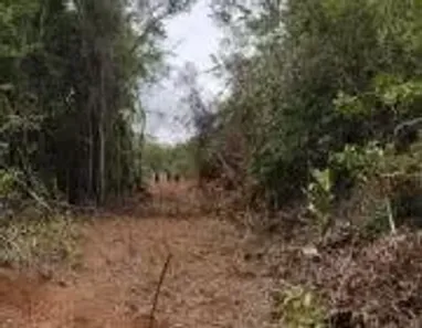 Lote/Terreno à venda, 20000m² no , Jaboticatubas