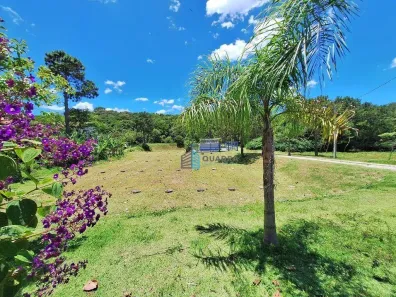 Lote/Terreno à venda, 429m² no São João do Rio Vermelho, Florianópolis