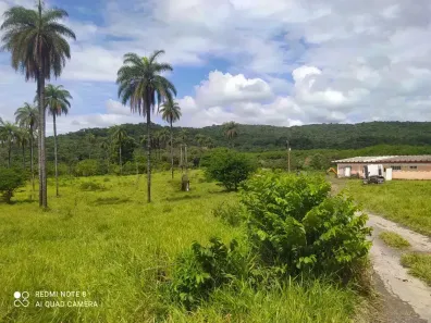 Lote/Terreno à venda, 61000000m² no Granjas Reunidas São Vicente, São José da Lapa