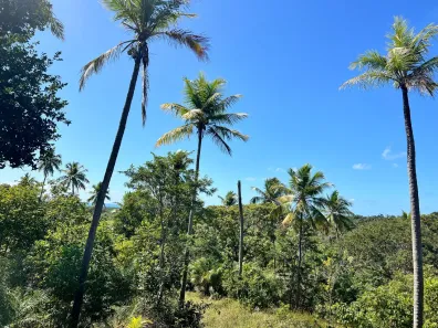 Lote/Terreno à venda, 20000m² no Imbassaí, Mata de São João