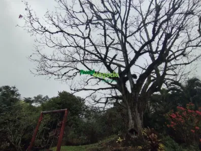 Fazenda/Sítio com 3 Quartos à venda, 101000m² no , Cachoeira Paulista