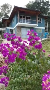 Fazenda/Sítio com 4 Quartos à venda, 120m² no Nova Petrópolis, Nova Petrópolis
