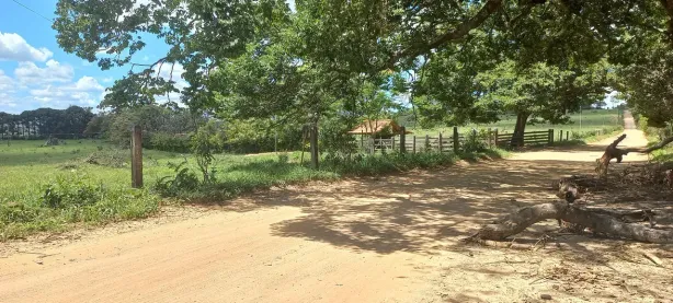 Fazenda/Sítio à venda, 40000m² no Zona Rural, Fortuna de Minas