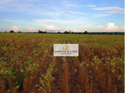 Fazenda/Sítio com 6 Quartos à venda, 900m² no Setor Central, Araguaína
