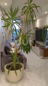 Apartamento com 3 Quartos à venda, 74m² no Jardim Antonio Von Zuben, Campinas