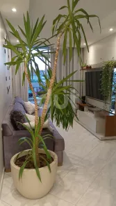 Apartamento com 3 Quartos à venda, 74m² no Jardim Antonio Von Zuben, Campinas