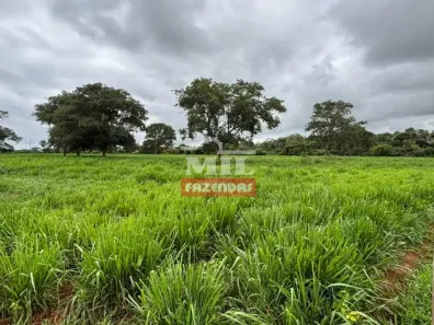 Fazenda/Sítio à venda, 500m² no , Quirinópolis