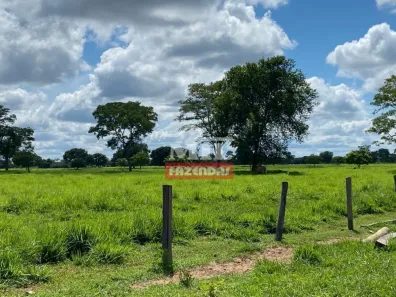 Fazenda/Sítio à venda, 1815m² no , Cocalinho