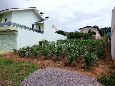 Lote/Terreno à venda, 356m² no , Nova Pádua