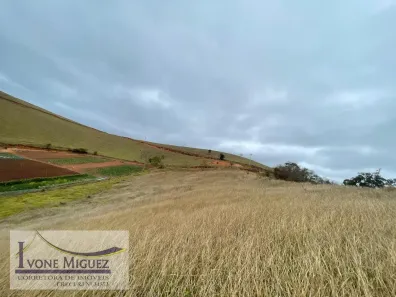 Lote/Terreno à venda, 20000m² no , Paty do Alferes