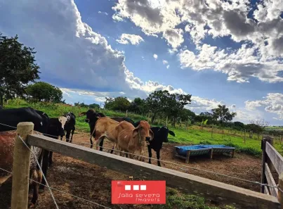 Fazenda/Sítio com 3 Quartos à venda, 50000m² no Centro, Luziânia