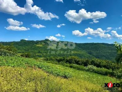 Fazenda/Sítio com 1 Quarto à venda, 5000m² no Pinhal Alto, Nova Petrópolis