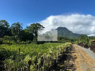 Fazenda/Sítio com 1 Quarto à venda, 8300m² no Dona Francisca (Pirabeiraba), Joinville