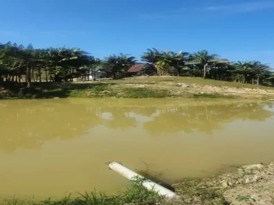 Fazenda/Sítio com 3 Quartos à venda, 160000m² no , Benedito Novo