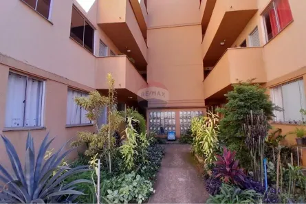 Apartamento com 2 Quartos para alugar, 55m² no Mirante, Mogi Mirim