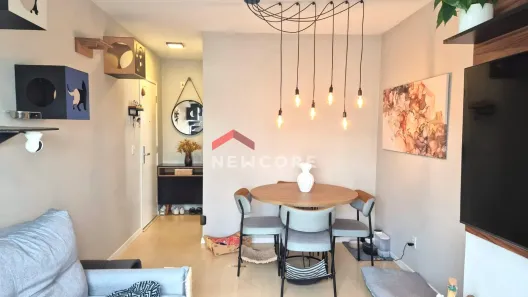Apartamento com 3 Quartos à venda, 67m² no Vila Moreira, São Paulo