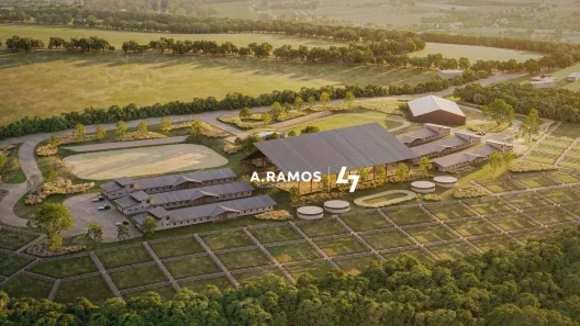 Fazenda/Sítio à venda, 20000m² no , Porto Feliz
