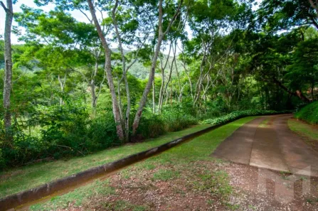 Lote/Terreno à venda, 5341m² no Itaipava, Petrópolis