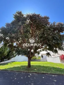Lote/Terreno à venda, 409m² no Jardim das Palmeiras, Uberlândia