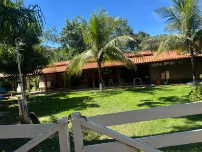 Fazenda/Sítio com 3 Quartos à venda, 260m² no Montes Claros de Goiás, Montes Claros de Goiás