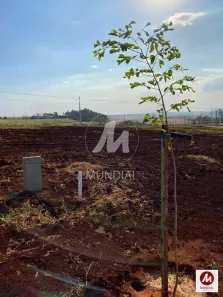 Lote/Terreno à venda, 324m² no Residencial Alto do Castelo, Ribeirão Preto