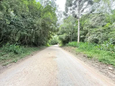 Fazenda/Sítio à venda, 33000m² no Área Rural de Araucária, Araucária