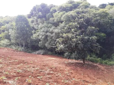 Lote/Terreno à venda, 5000m² no São Cristóvão, Passo Fundo