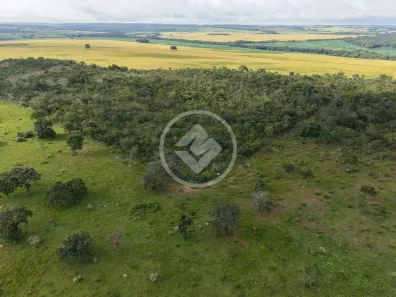 Fazenda/Sítio à venda, 11m² no , Orizona