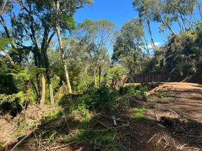 Fazenda/Sítio com 1 Quarto à venda, 80000m² no , Urubici