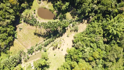 Fazenda/Sítio com 3 Quartos à venda, 22344m² no , Morretes